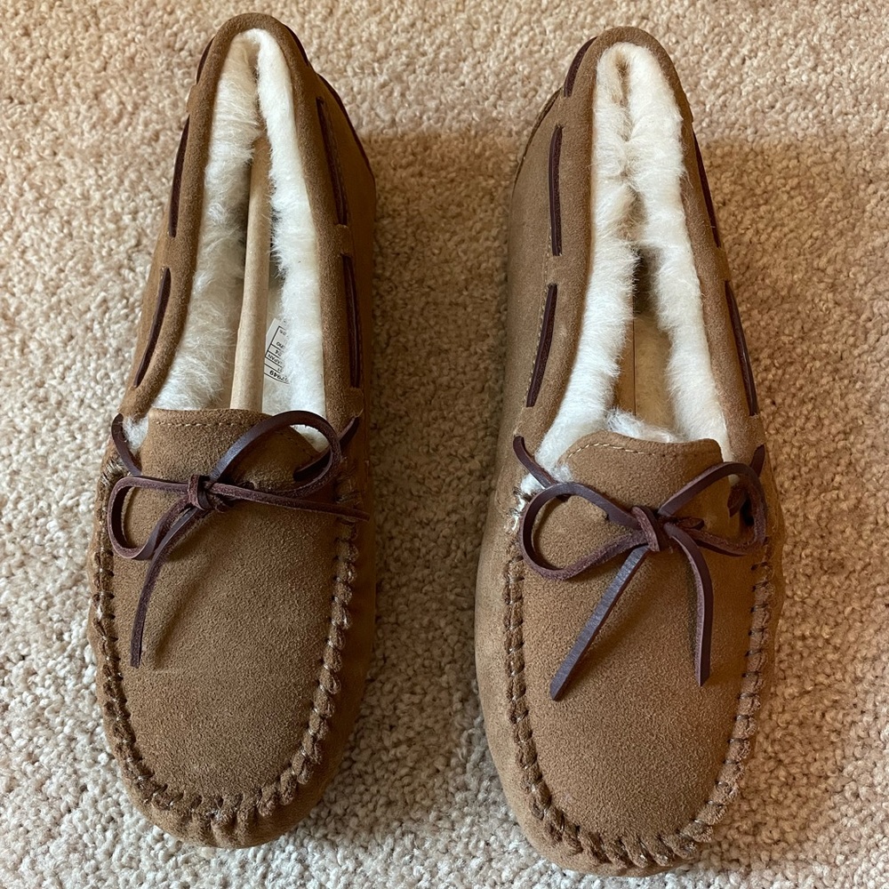 NWB UGGs Dakota in chestnut